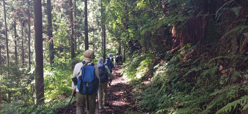 野河内渓谷入口から水無登山口に続く道。まあまあの斜度の所もあり、暑くて息が切れます。