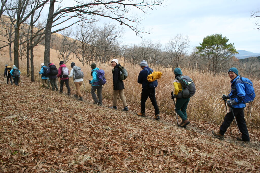 初冬のくじゅうは寒々とした風景でした